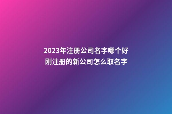 2023年注册公司名字哪个好 刚注册的新公司怎么取名字